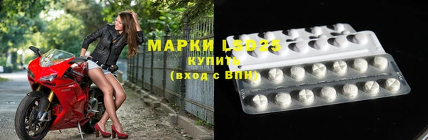 хмурый Алексин