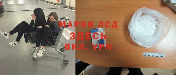 хмурый Алексин