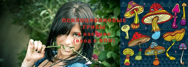 хмурый Алексин