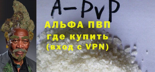 хмурый Алзамай