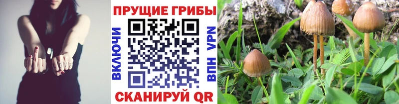 Галлюциногенные грибы MAGIC MUSHROOMS  Усть-Лабинск 