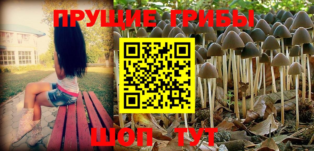 Усть-Лабинск  Псилоцибиновые грибы Magic Shrooms  Вход с VPN 