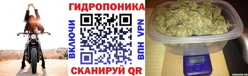 Каннабис ГИДРОПОН  хочу наркоту  Усть-Лабинск 